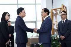 Deputy Prime Minister and Minister of Foreign Affairs Bui Thanh Son (second from the right) extends his condolences to the Ambassador of the Republic of Korea to Vietnam Choi Young-sam on December 31. (Photo: VNA)