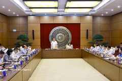 At the working session between NA Chairman Tran Thanh Man and standing members of the NA's Committee for Cultural and Social Affairs. (Photo: VNA)