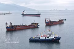 A view of the Lien Chieu Container Port construction project in Da Nang city (Photo: VNA) 