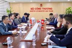 The meeting between Deputy Minister of Industry and Trade Nguyen Sinh Nhat Tan and Director of Switzerland’s State Secretariat for Economic Affairs Helene Budliger Artieda in Hanoi on March 16. (Photo: moit.gov.vn)