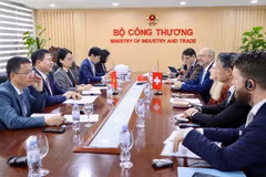 The meeting between Deputy Minister of Industry and Trade Nguyen Sinh Nhat Tan and Director of Switzerland’s State Secretariat for Economic Affairs Helene Budliger Artieda in Hanoi on March 16. (Photo: moit.gov.vn)