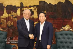 Deputy Prime Minister Le Tien Chau (R) receives Special Advisor to the Japan-Vietnam Parliamentary Friendship Alliance Takebe Tsutomu in Hanoi on June 26 (Photo: VNA)