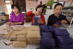 Facts have shown that older people possess extensive production knowledge accumulated over many years and play an important role in sustaining community livelihoods and protecting local ecosystems. (Illustrative photo: VNA)