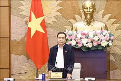 National Assembly (NA) Chairman Tran Thanh Man addresses the meeting. (Photo: VNA)