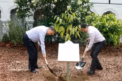 General Secretary of the Communist Party of Vietnam Central Committee and State President To Lam joins Singaporean Prime Minister Lawrence Wong in the tree-planting ceremony on May 30. (Photo: VNA)