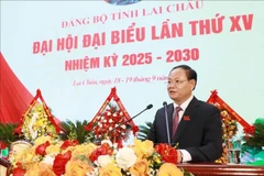 Newly-elected Secretary of the Lai Chau provincial Party Committee for the 2025–2030 term Le Minh Ngan. (Photo: VNA)