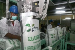  Import permit delays disrupt Indonesian sugar refiners’ output