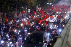 People celebrate the victory of of the Vietnamese men's national football team in the ASEAN Mitsubishi Electric Cup 2024. (Photo: VNA)