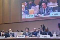 Ambassador Pham Hai Anh, Director-General of the Department of International Organisations under the Ministry of Foreign Affairs, speaks at the 19th NAM Ministerial Meeting of the Coordinating Bureau in Kampala, Uganda, on October 15. (Photo: VNA)