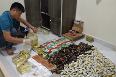 More than 30 kilogrammes of various drugs trafficked from Cambodia to HCM City were seized in a police operation in March 2025. (Photo: VNA)