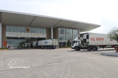 Trucks carrying import and export goods pass through the Lao Cai border gate. (Photo: VNA)