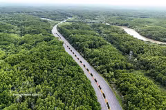 Can Gio mangrove forest in Ho Chi Minh City (Photo: VNA)