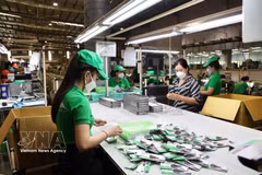 Industrial parks in Ho Chi Minh City attract over 772 million USD in Q1 2026. (Illustrative photo: VNA)