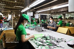 Industrial parks in Ho Chi Minh City attract over 772 million USD in Q1 2026. (Illustrative photo: VNA)