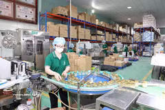 A factory manufacturing bird's nest products in Khanh Hoa province (Photo: VNA)