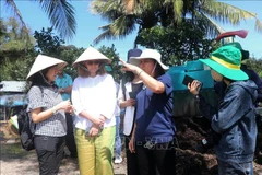 The Can Tho agricultural sector's representative introduces a pilot model of high-quality and low-emission rice cultivation to the Canadian Embassy's delegation. (Photo: VNA)