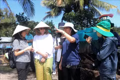 The Can Tho agricultural sector's representative introduces a pilot model of high-quality and low-emission rice cultivation to the Canadian Embassy's delegation. (Photo: VNA)