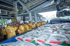 Workers load fertiliser onto a vessel for export by Petrovietnam Ca Mau Fertiliser Corporation (PVCFC). (Photo: Petrovietnam)