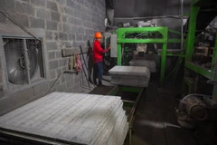 Opportunities and challenges in adopting low-carbon technologies in Vietnam. (Photo: Nguyen Van Anh)