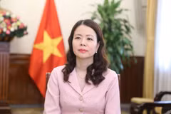Deputy Minister of Foreign Affairs Nguyen Minh Hang (Photo: VNA)