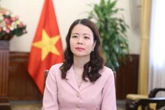 Deputy Minister of Foreign Affairs Nguyen Minh Hang (Photo: VNA)