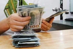 The daily reference exchange rate for the US dollar is set at 25,000 VND/USD on June 4. (Photo: VNA)