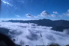 A view of Ta Xua cloud haven in Son La province (Photo: VNA)