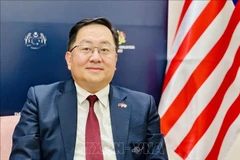 Malaysian Ambassador to Vietnam Dato' Tan Yang Thai (Photo: VNA)