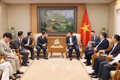Deputy PM Nguyen Chi Dung receives Choi In Kwan, General Director of LG Display Vietnam Hai Phong. (Photo: VNA)