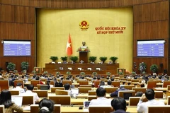 NA deputies vote on a law the 10th session. (Photo: VNA)