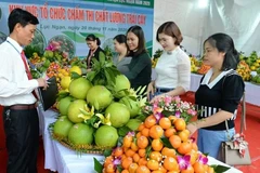 The Bac Ninh Fruit Festival 2025 will feature many new highlights. (Photo: Bac Ninh Newspaper)