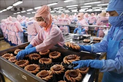 According to the Ministry of Agriculture and Environment, the sector's GDP growth reached around 3.7-3.92% in 2025. (Photo: VNA)