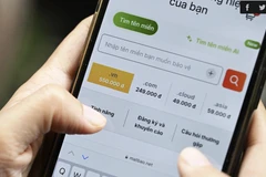 A person searching to purchase a “.vn” domain name. (Photo: vnexpress.net)