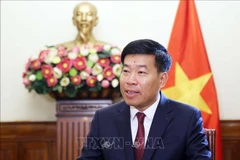 Deputy Minister of Foreign Affairs Nguyen Manh Cuong (Photo: VNA)