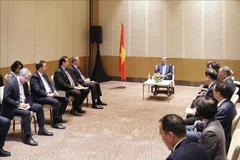 General Secretary of the Communist Party of Vietnam Central Committee To Lam (C) meets with leaders of several prominent Azerbaijani companies on May 8, 2025. (Photo: VNA)