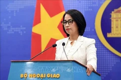 Foreign Ministry spokesperson Pham Thu Hang speaks at a press conference in Hanoi on November 6. (Photo: VNA)