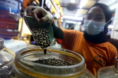 Indonesian coffee (Photo: jakartaglobe.id)