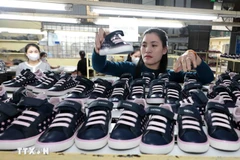 The Ha Tay Chemical Weave Co. Ltd exports 1.3 million pairs of footwear to the US and the EU in 2024. (Photo: VNA)