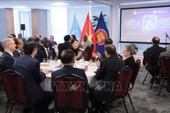 An overview of the event (Photo: VNA)