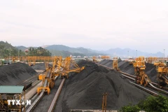 Production and business activities at Cua Ong Coal Sorting Company (Photo: VNA)