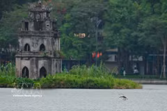 Hoan Kiem Lake, a cultural and historical symbol of the capital and also a key element of Hanoi’s distinctive urban landscape, is set to be preserved and enhanced as part of the city’s future development strategy. (Photo: VNA)