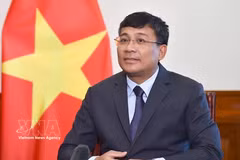 Standing Deputy Minister of Foreign Affairs Nguyen Minh Vu. (Photo: VNA)