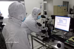 Scientific research at an R&D centre of the Saigon High-Tech Park in Ho Chi Minh City (Photo: VNA)