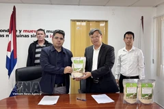 Vietnamese Ambassador to Cuba Le Quang Long (right) symbolically hands over 250 tonnes of rice to Cuban Deputy Minister of Agriculture Telce Abdel González (Photo: VNA)