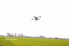 A drone sprays fertiliser over rice fields. (Photo: VNA)