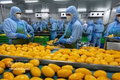 Workers at a food processing company in Dong Nai province (Photo: VNA)
