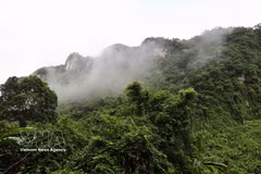A view of Phong Nha - Ke Bang National Park in Da Nang city (Photo: VNA)
