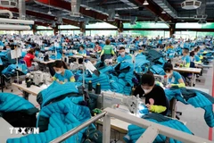 Workers sew export garments at Maxport Vietnam Co.Ltd (Photo: VNA)