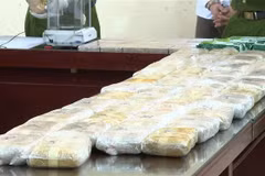 A large quantity of narcotics seized as part of the case. (Photo: VNA)