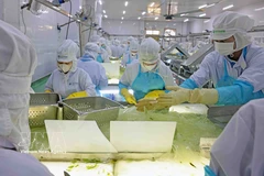 VietFarm’s aloe vera production line. (Photo: VNA)